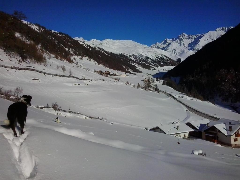 Villa Padoellhof Graun im Vinschgau Exterior foto