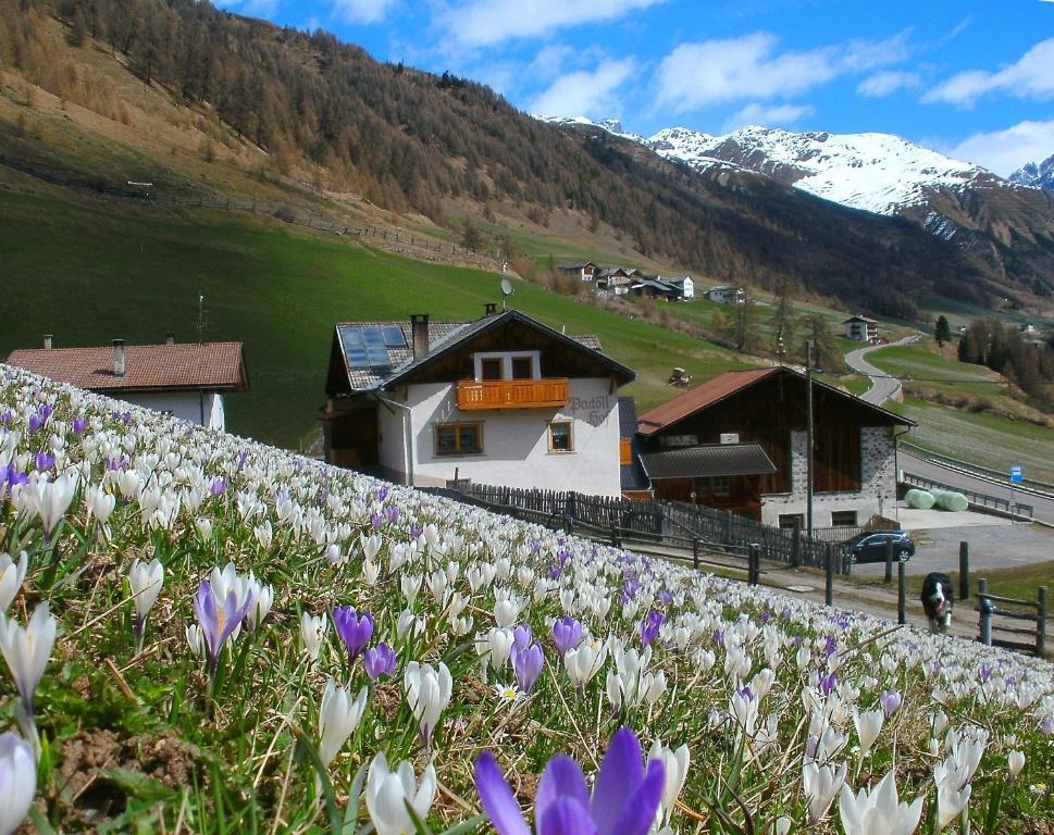 Villa Padoellhof Graun im Vinschgau Exterior foto